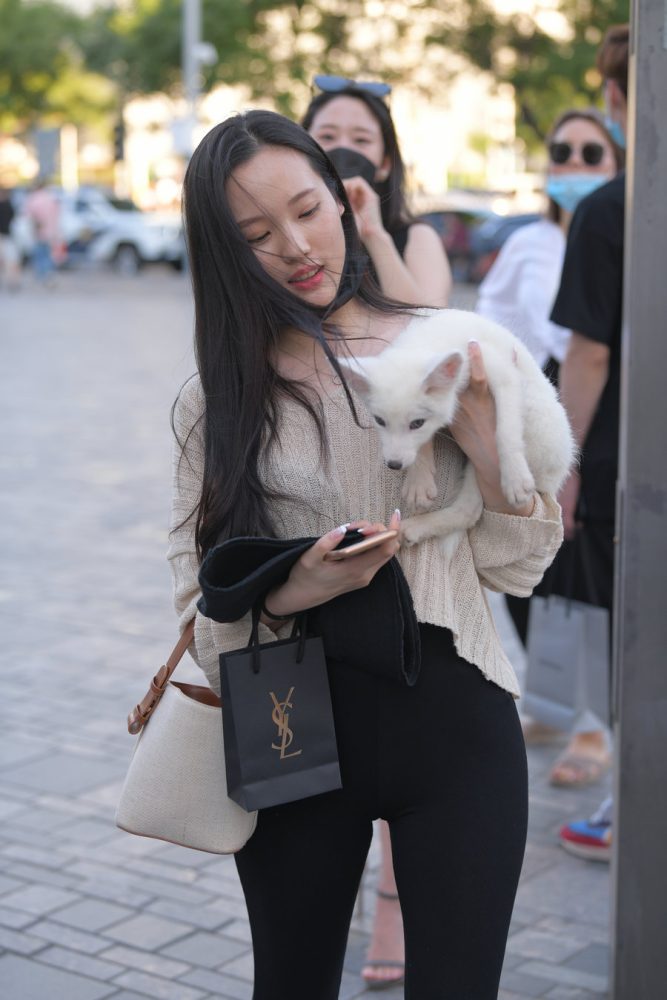 抱着小狗的漂亮女孩 J2106 136P-3.25GB-师姐图集